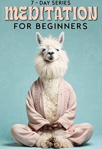 Poster - Ned for Beginners