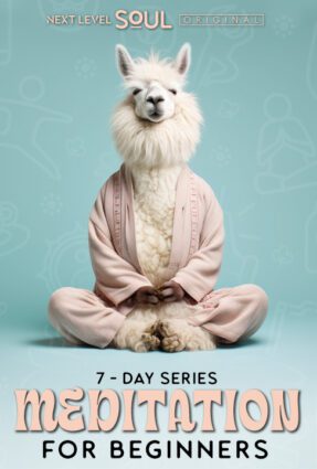 Meditation for Beginners THUMB Vertical NLS