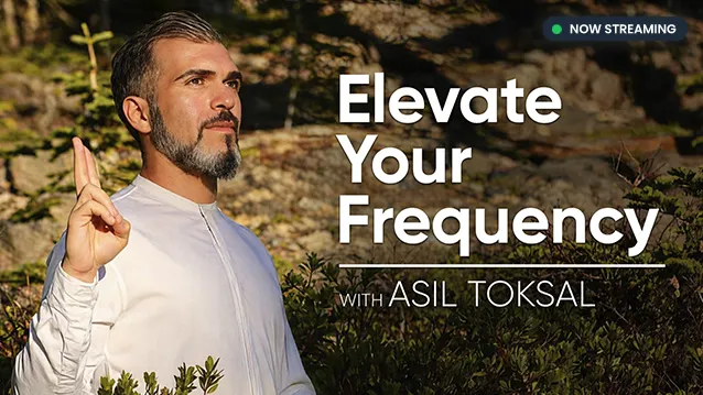 Free Courses THUMBS - Asil (Frequency)