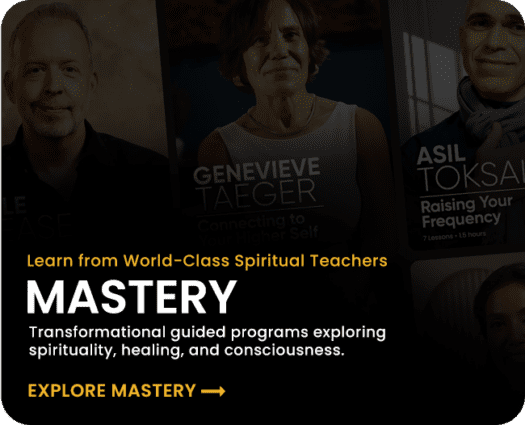 NLS Home Page - PLATFORMS (MASTERY) Rollover 03