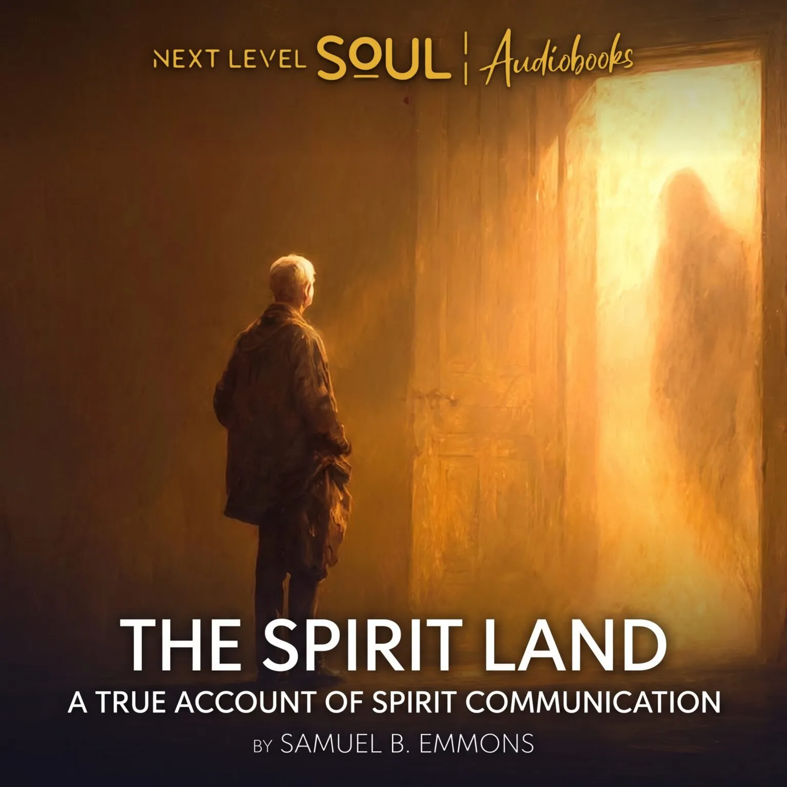 The Spirit Land audiobook cover