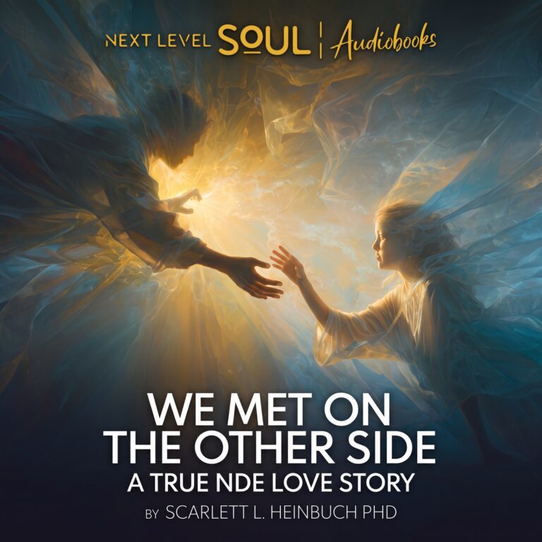 We Met on the Other Side audiobook cover