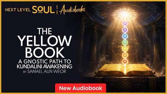 Cover art for The Yellow Book audiobook on Next Level Soul TV