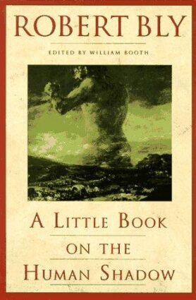 Cover of A Little Book on the Human Shadow by Robert Bly