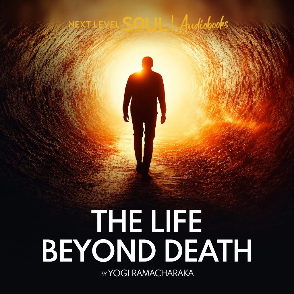 The Life Beyond Death audiobook cover
