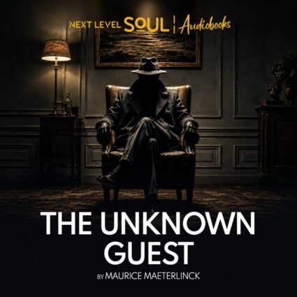 The Unknown Guest audiobook cover